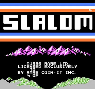 

Slalom (U) 60 Pins 8 Bit Game Card