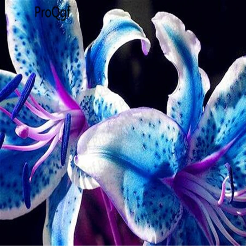 Ngryise 20 шт набор Lilium brownii Lily