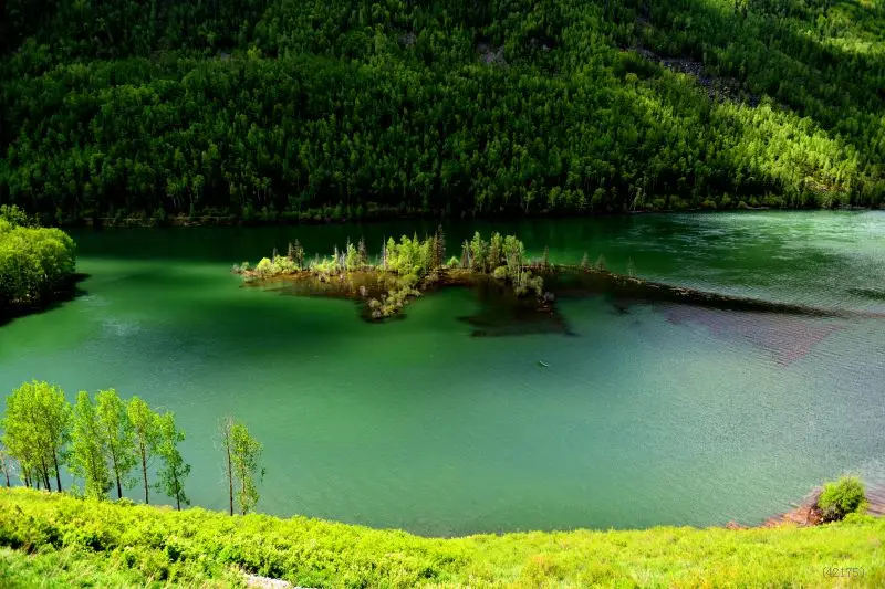 Горячая распродажа винил 8x8ft пейзажной фотографии фон экрана тема новый