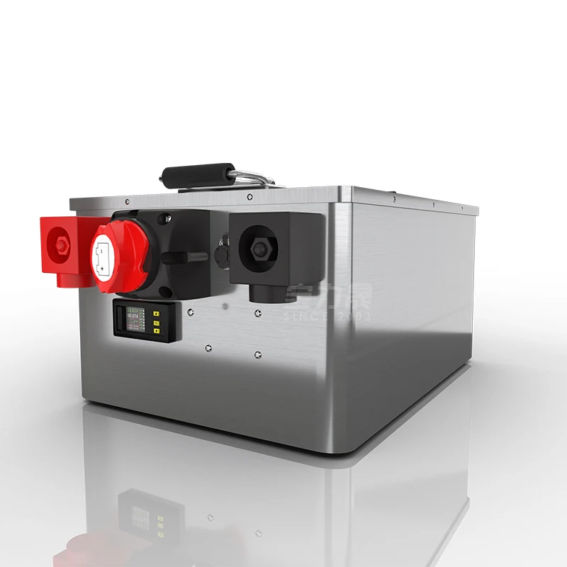 Нержавеющая сталь коробка LiFePo4 алюминиевый корпус батарея настроить для 8 шт 100ah