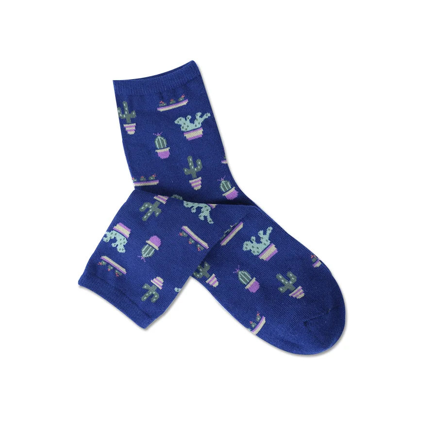 2017 новые летние женские Носки с рисунком кактуса удобные милые носки хлопковые