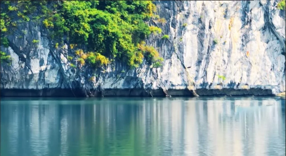 3d обои на заказ нетканые и роспись шелке фото длинная нарисованная hd guilin