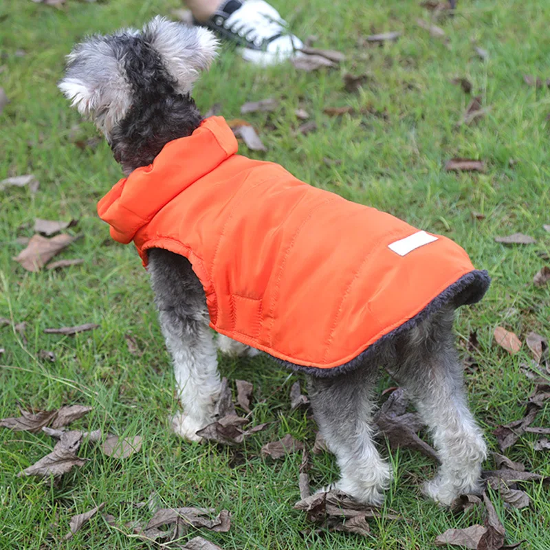 

Winter Chihuahua Warm Dog Clothes for Small Dogs Waterproof Cotton Coat for French Bulldog Thicken Jacket for Pet Puppy Costume