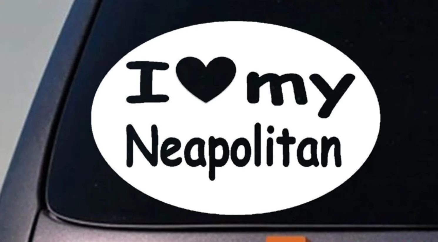 

I LOVE MY NEAPOLITAN MASTIFF ENGLISH MASTIFF WINDOW 6" STICKER DECAL Sticker 15cm
