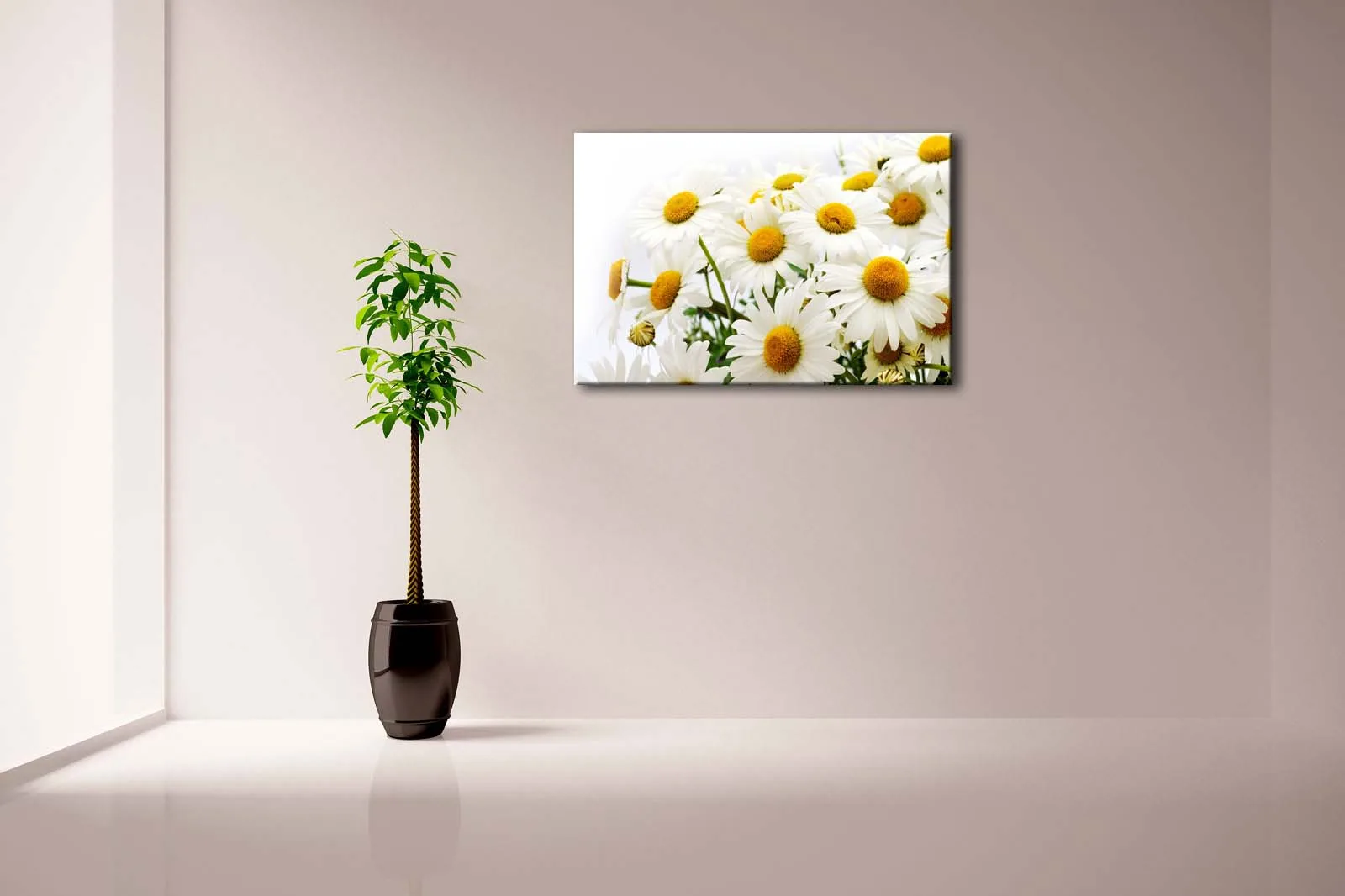 Framed Wall Art Pictures Daisies Petals Hearts Canvas Print Flower Posters With Wooden Frames For Home Living Room Decor | Дом и сад