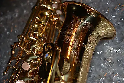 Yanagisawa-990-Professional-Alto-Saxophone-Case-Pad Saver-Closet Horn-Rare | Спорт и развлечения