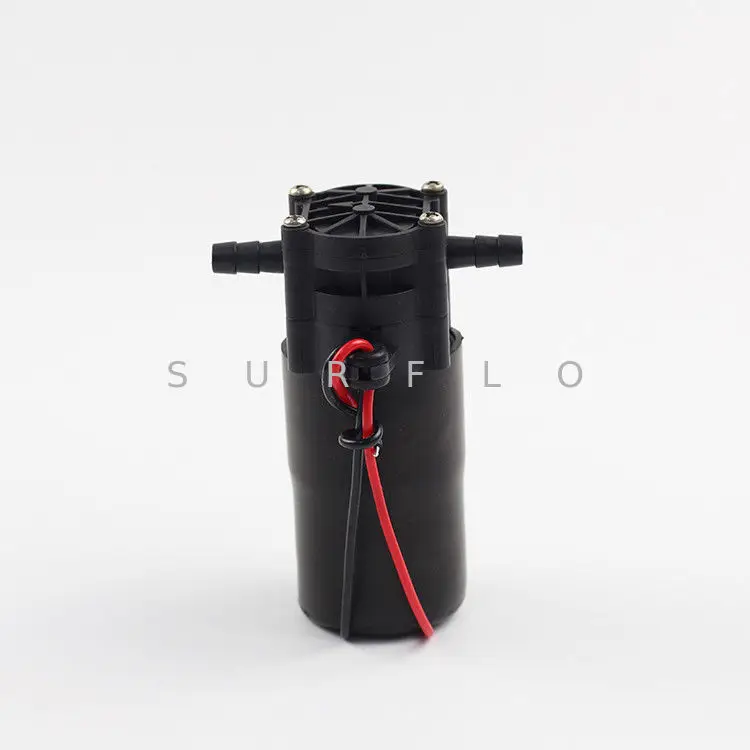 PPS горячая вода DC 12 V 24 электрический мини шестереночный насос 1 5/2.5LPM восковой