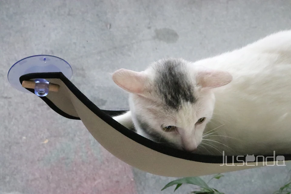 Removable High Bed Ultimate Sunbathing Cat Window Mounted Hammock Lounger Perch Cushion Hanging Shelf Seat Kitty Sill Carrier