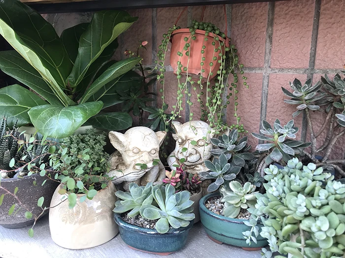 Открытый сад милый цемент Монстр статуи украшения двор дома скульптура ремесла