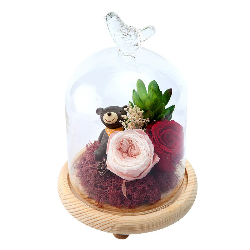 Стеклянная крышка колокол для купола птицы прозрачный контейнер террариума