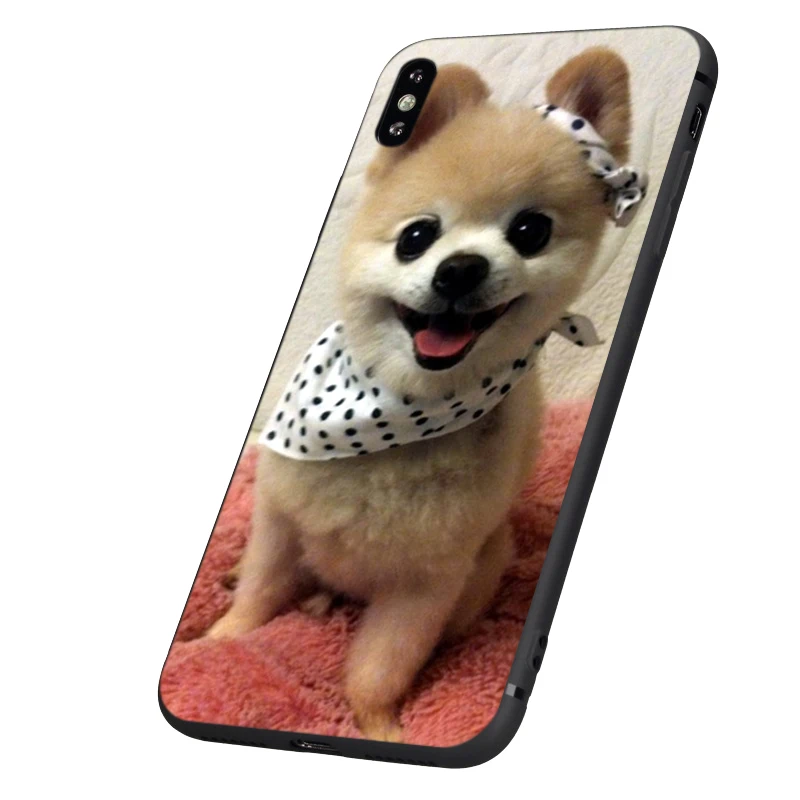 Черный чехол из ТПУ для iphone 5 5s se 6 6s 7 8 plus x 10 силиконовый XR XS 11 pro MAX собак домашних