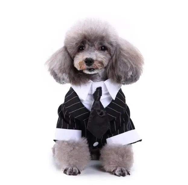 Джентльменская Одежда для собак кошек принц Свадебный костюм милый Cachorro Mascotas