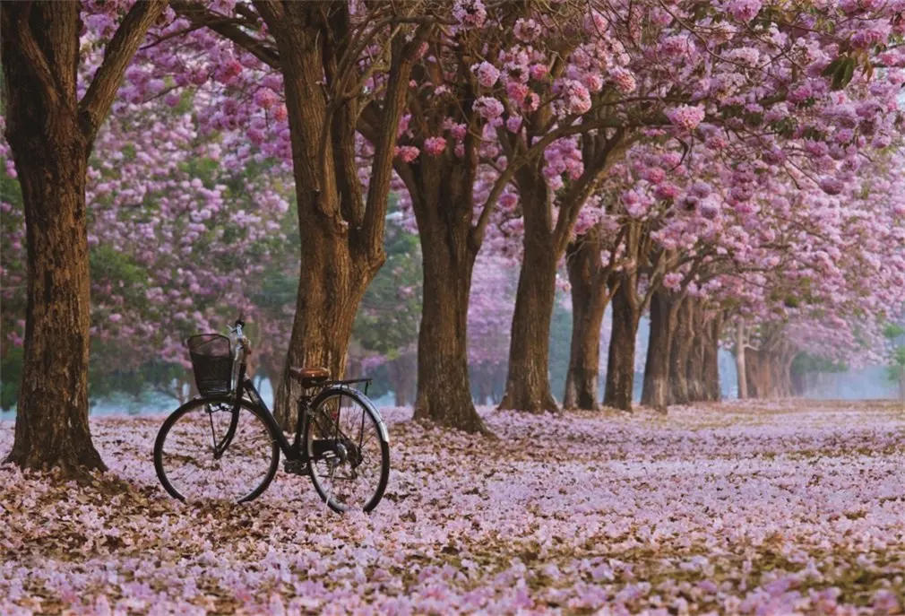 Photography Backdrop Valentine's Day Spring Cherry Blossom Flowers Vintage Bicycle Trees Nature Romantic Photo Background Party |