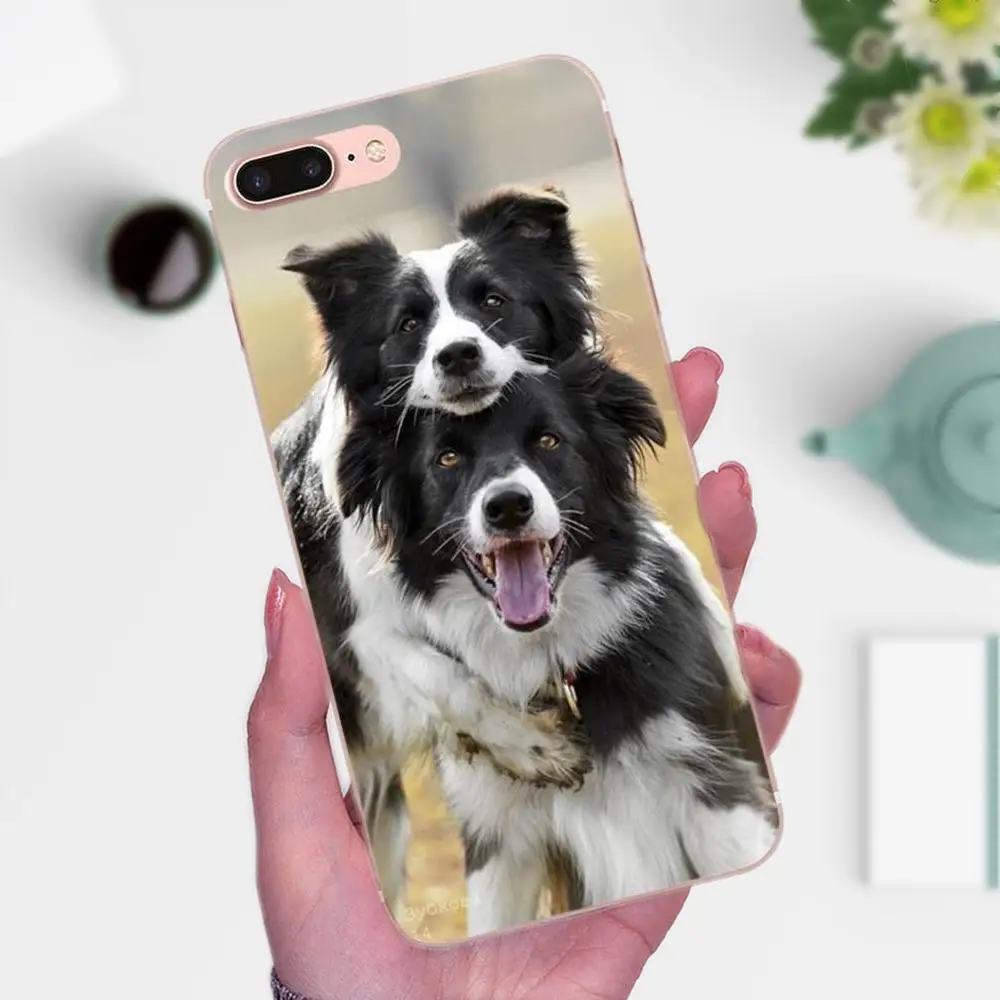 Границы собака колли породы аксессуары для телефона чехол для Huawei P8 P9 P10 P20 P30 Коврики, 7, 8, 9, 10, 20 Lite Plus Pro - Цвет: as picture