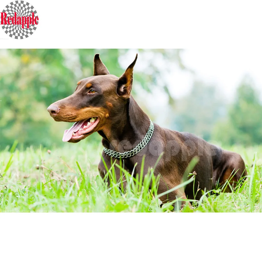 Doberman Pinscher 5D diy diamond painting cross stitch mosaic embroidery beads dog 3d picture full square sticker deocr | Дом и сад