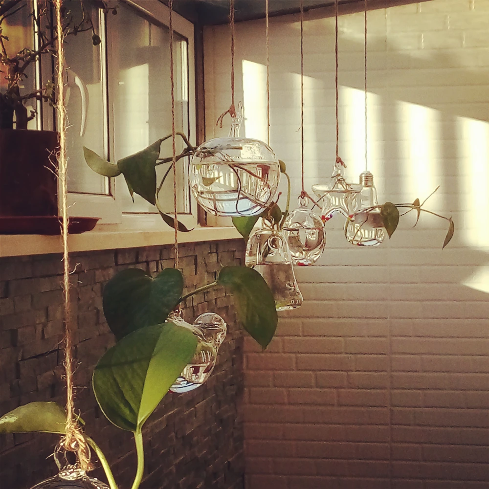 DIY творческий висит ясно стеклянная ваза для цветов гидропоники крытый