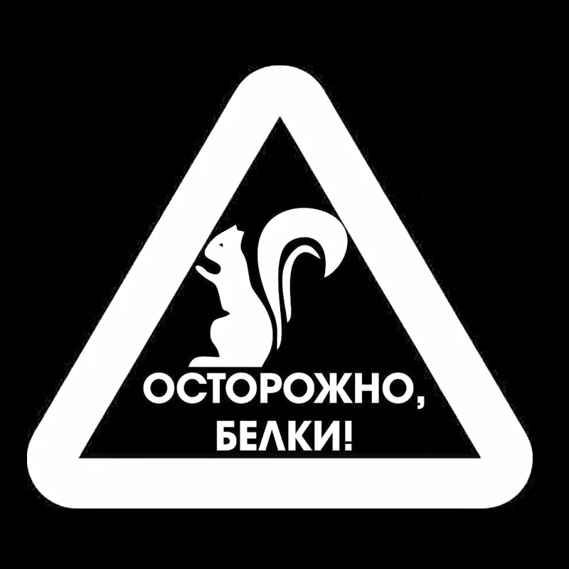 Автомобильные товары для защиты белок Стикеры автомобиля забавные