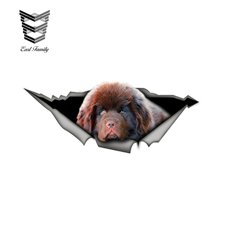 EARLFAMILY 15 см x 6 забавная трехмерная Наклейка для автомобиля Dewfie Pet водостойкая