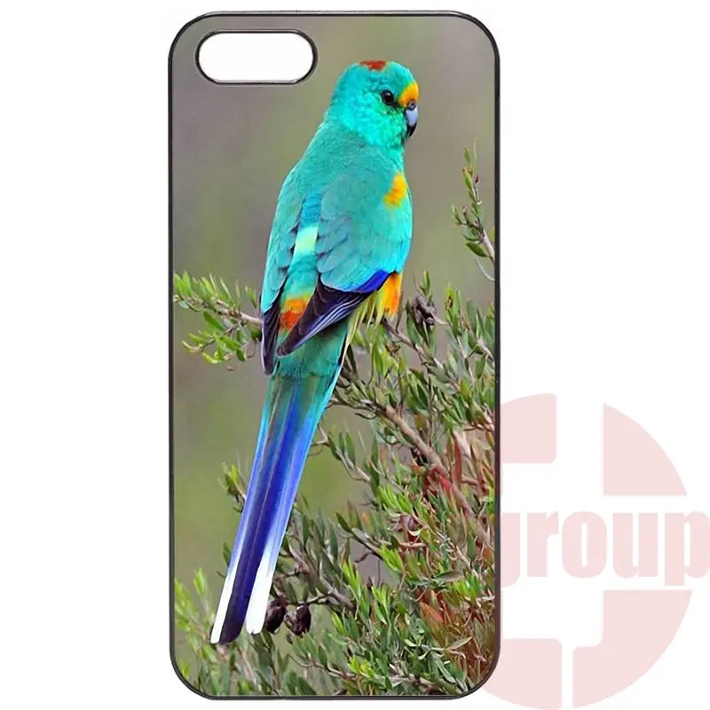 For Huawei P7 P8 P9 mini Honor 3C 4C 5C 6 Mate 7 8 9 Plus Lite 5X 6X Nexus 6P Patterns beautiful parrots animal |