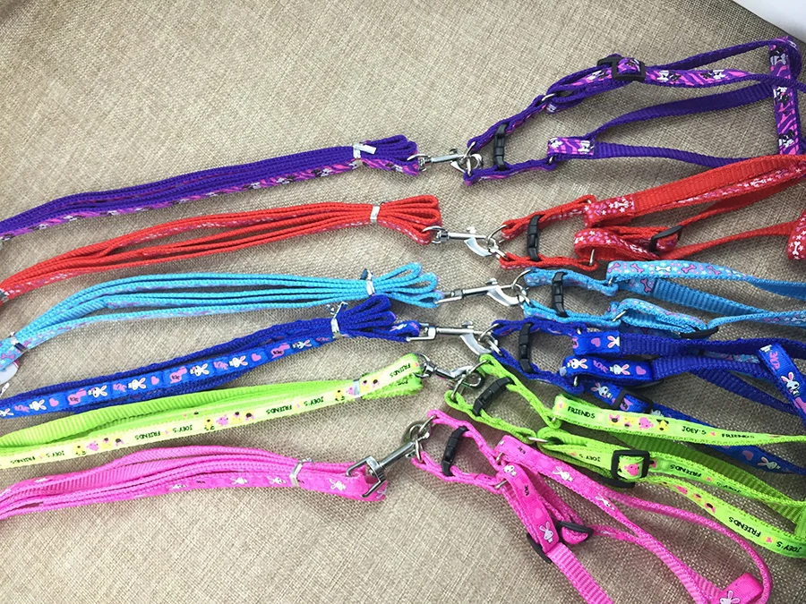 6 шт./лот поводок для собак Регулируемый тренировочный ошейник поводки и ошейники