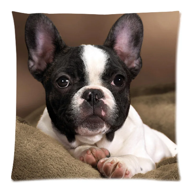 Панель в форме французского бульдога декоративные хлопковый Детский свитер