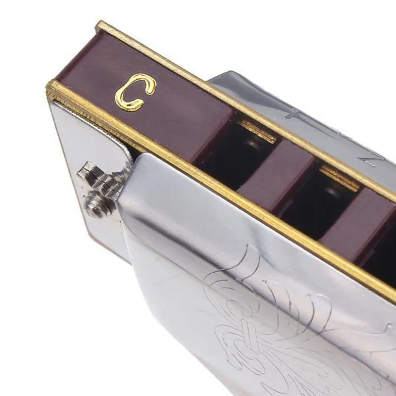 Folkmaster 1072 Стандартный Начинающий диатонический Блюз губные гармоники Gaita 10