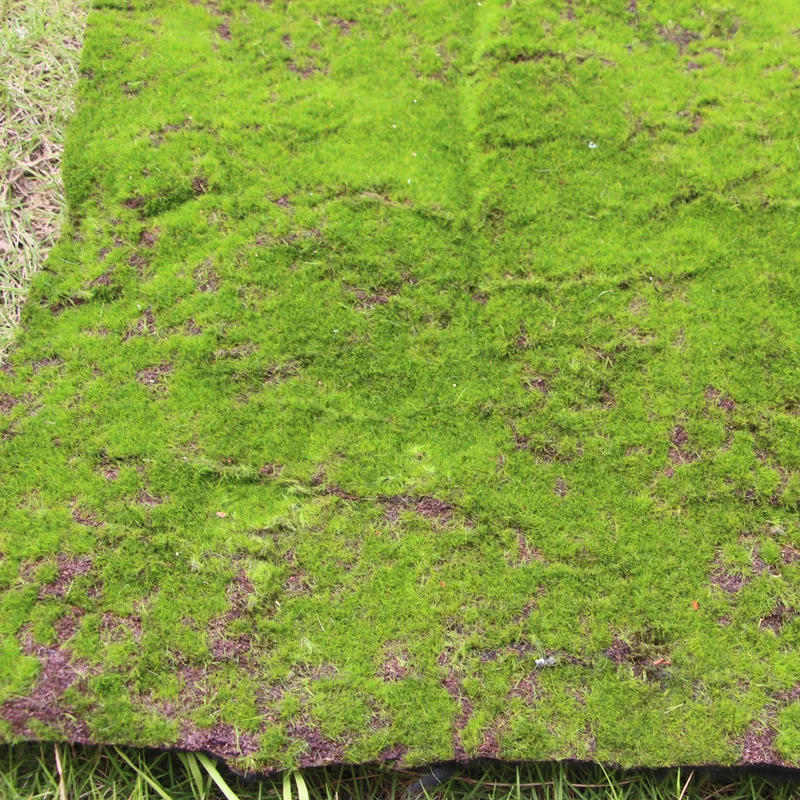 Алмазные Синтетические Пейзаж Искусственной Травой искусственный Газон 1 м х