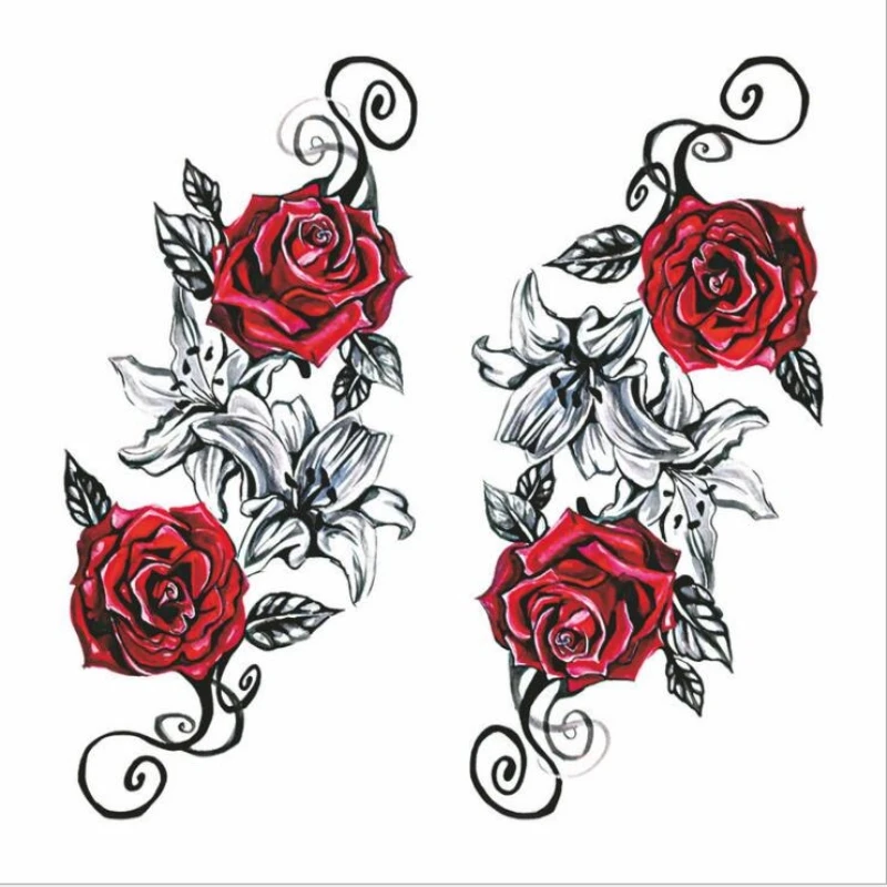 Несколько моделей поп красивое тело Книги по искусству наклейки животных Цветок