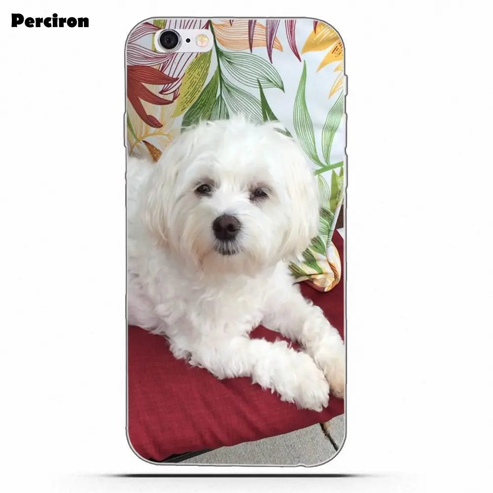 Perciron мягкий чехол для Huawei P7 P8 P9 P10 P20 P30 Lite Mini Plus Pro Мальтийская болонка