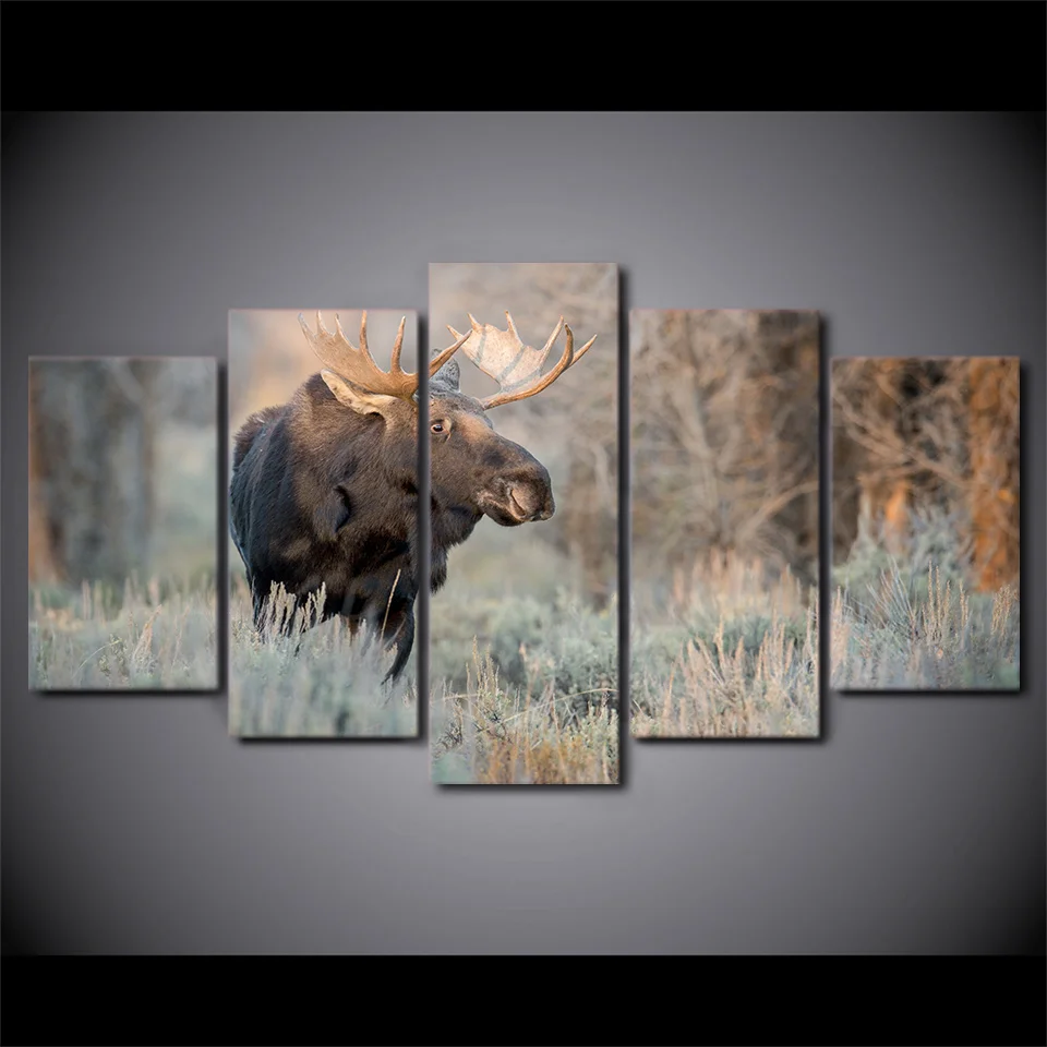 5 шт. декоративные картины с изображением оленя|prints and posters|hd prints5 piece canvas art |