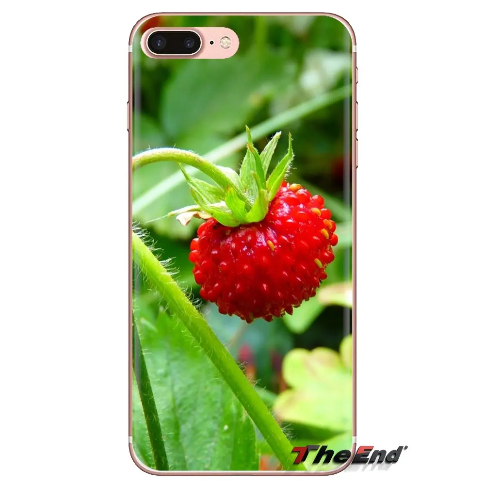 Soft Transparent Cases Cover Desktop fruits mobile wallpapers For Huawei Mate Honor 4C 5C 5X 6X 7 7A 7C 8 9 10 8C 8X 20 Lite Pro |