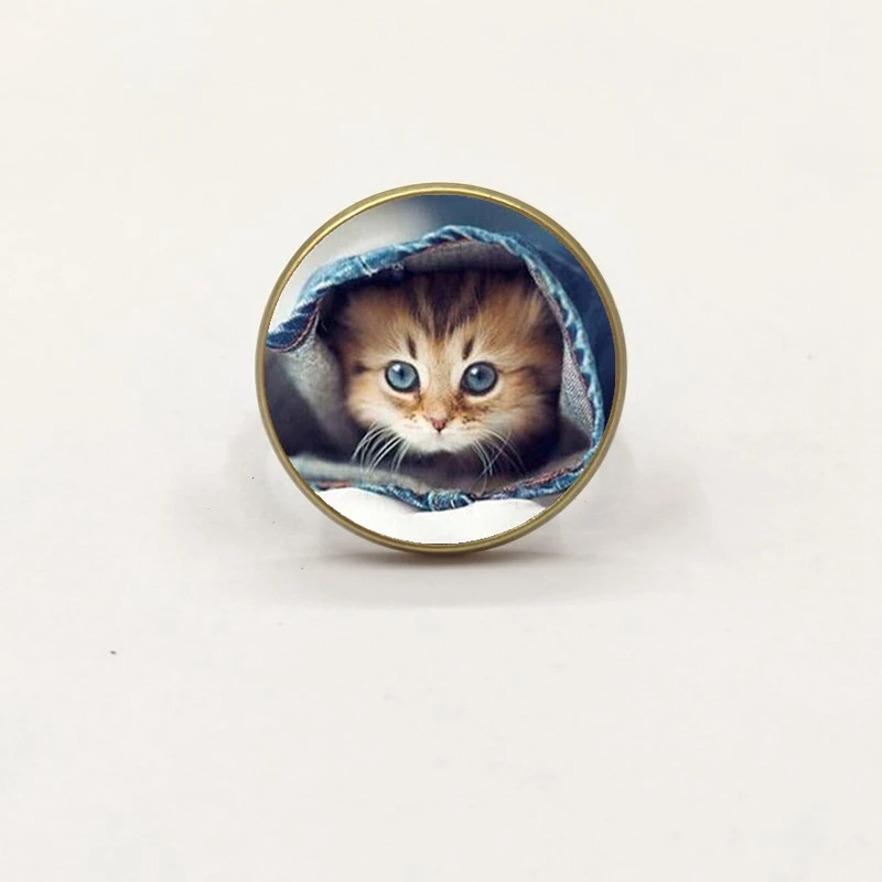 Новое модное кольцо-подвеска с котом стекло для ювелирных изделий кольцо |