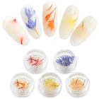 RBAN ногтей 3D сушеные цветы смешанные сохранившиеся наклейки для ногтей лист натуральный стикер DIY маникюрные инструмент для украшения ногтей для нейл-арта