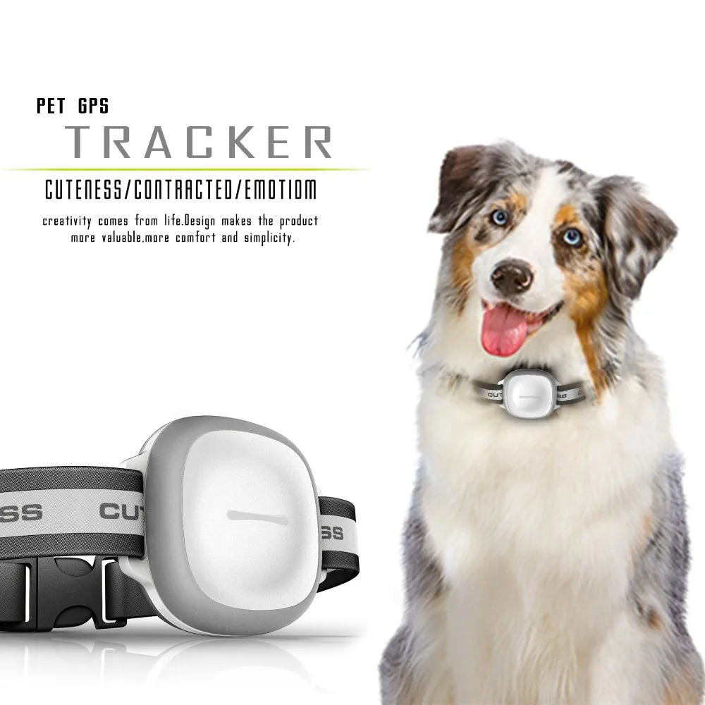 IP66 Водонепроницаемый Смарт pet gps трекер Wi-Fi LBS расположение с воротником Android