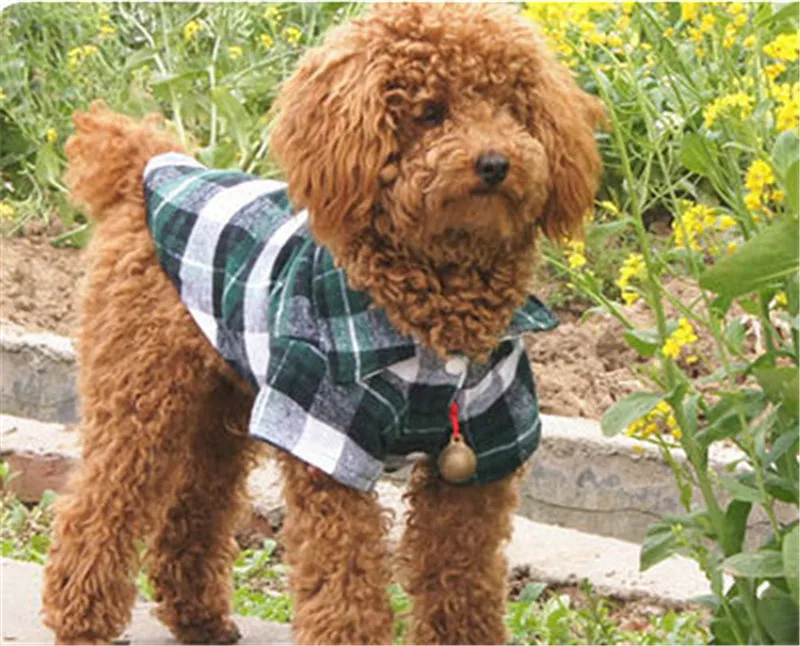 Одежда для собак осенняя и зимняя одежда рубашки красивые в клетку чем Xiong Xuenarui из
