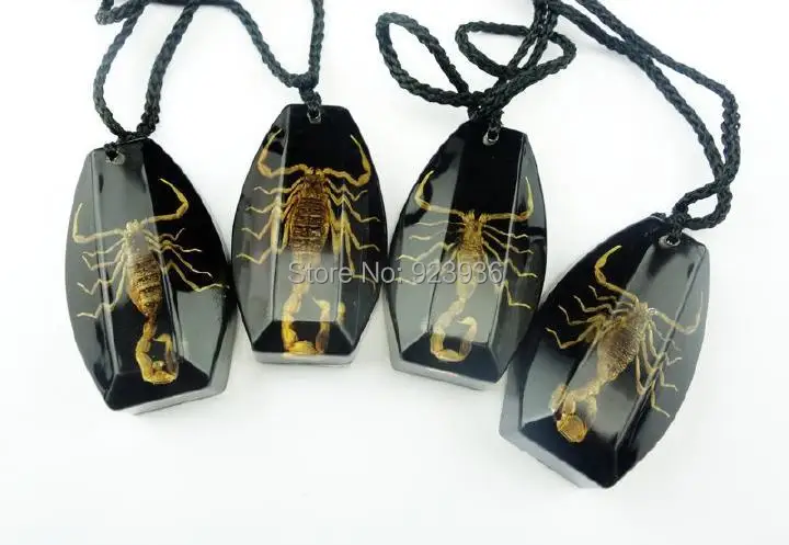 12 шт. настоящий ЗОЛОТОЙ СКОРПИОН из смолы таинственный черный кулон ожерелье