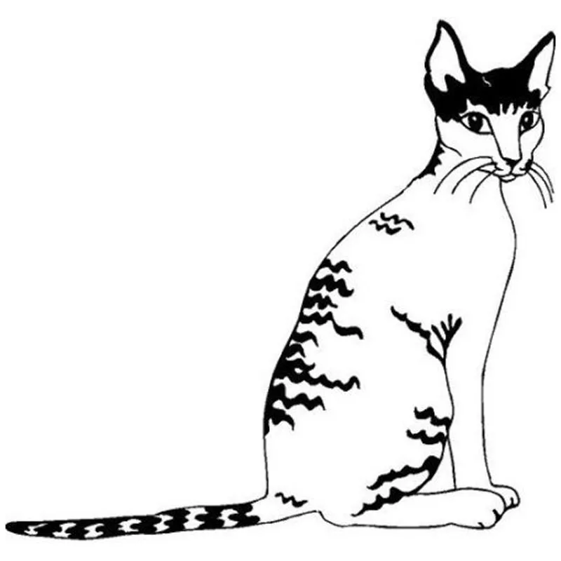 14 1*13 4 см Виниловая наклейка с рисунком кота Корниша Рекс s классная Популярная