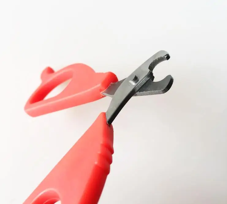 2017 Горячая Распродажа товары для домашних животных красные маленькие собаки с