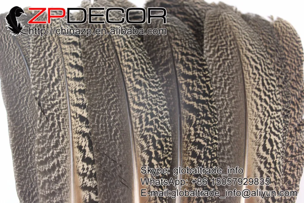 Zpdecoration натуральное 35 40 см 50 шт./лот баррид пестрая Шахта хорошее количество