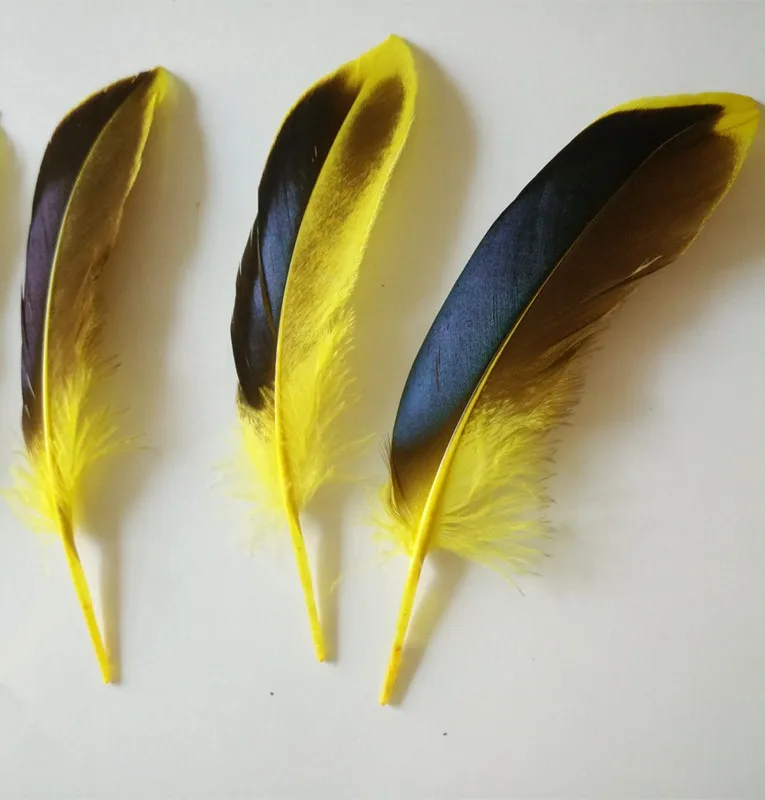 500 шт./лот 10-15 см/4-6 дюймов гусиные перья шлейфы натуральные утиные выбор цветов