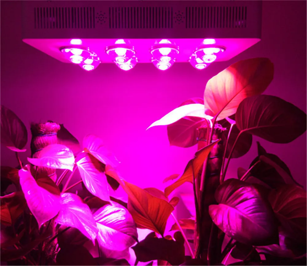 400 Вт cob led grow light G3 PRO SERIES 8*50 COB lamp с 6 полосами красный + синий оранжевый белый IR UV|grow