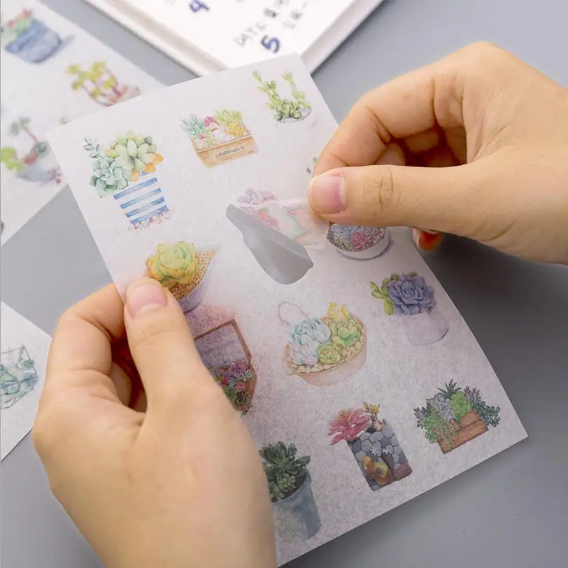 6 листов/упаковка теплые родины зеленые горшечные растения суккуленты