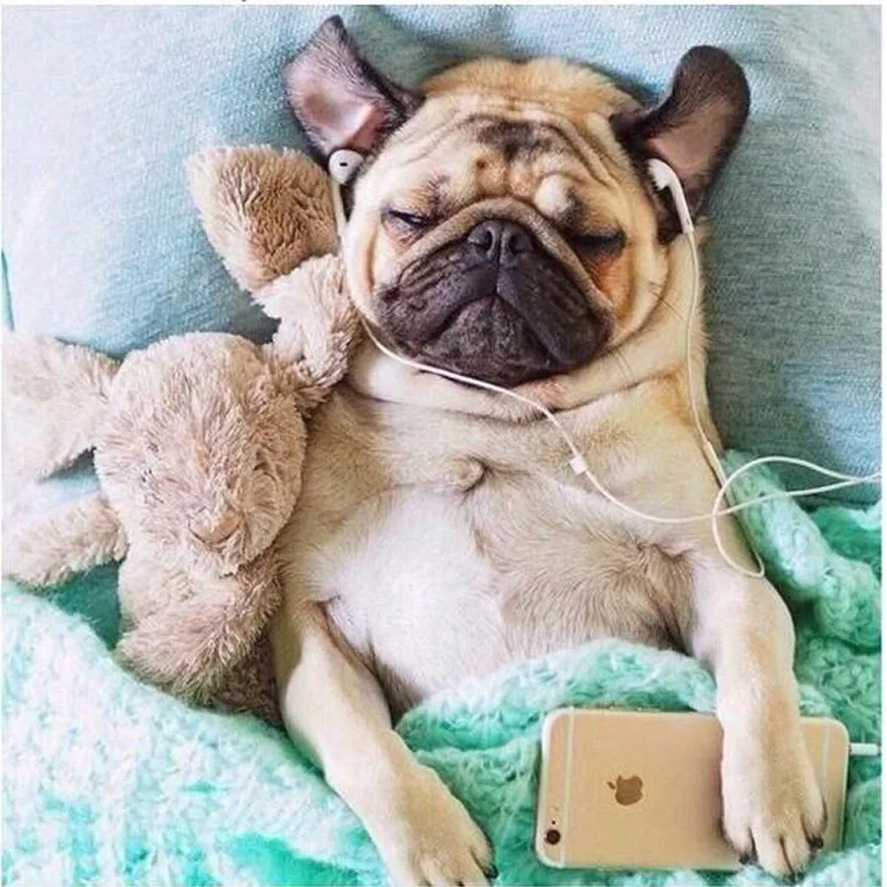 Алмазная вышивка 5D из смолы алмазная для ленивых собак iPhone квадратная мозаика