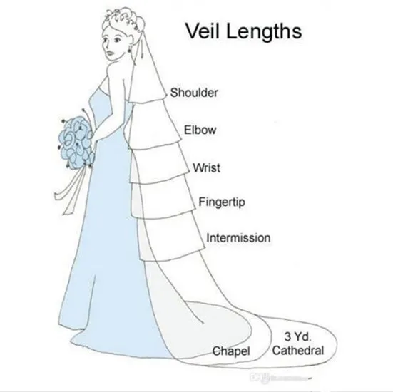 

Elegant Bridal White Ivory Wedding Veils 3 Meters Long Cathedral Length Lace Appliqued Real Image Tulle Bridal Veil With Comb