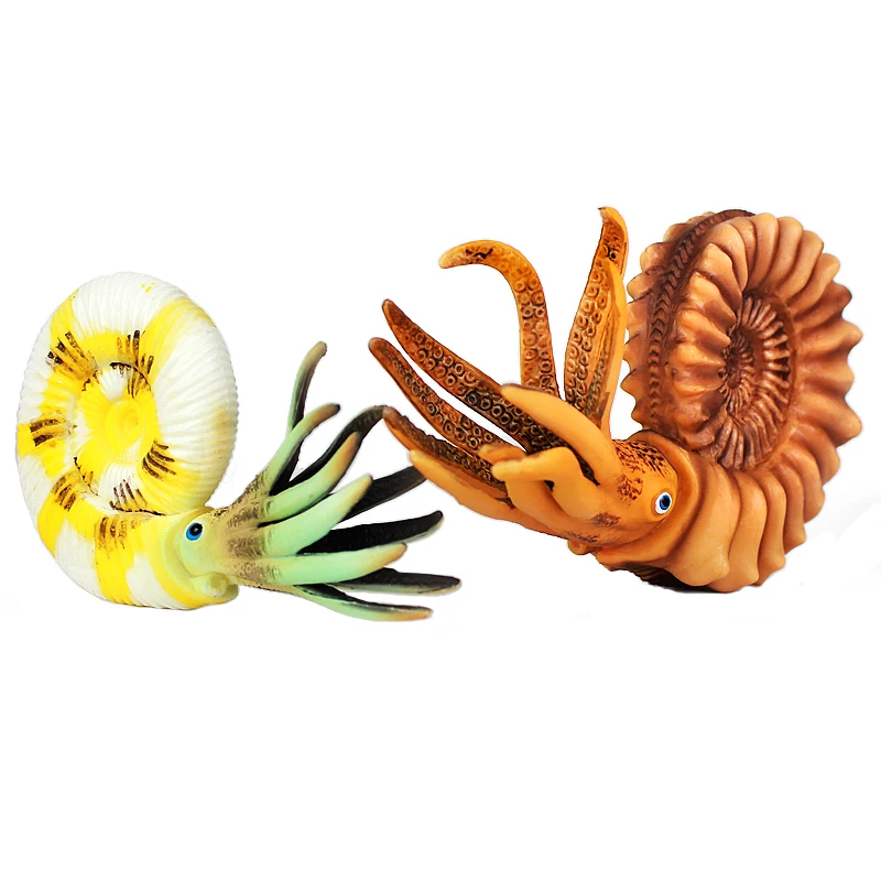Модель игрушечного животного Wiben Sea Life игрушка Nautilus Фигурки игрушек обучающие и