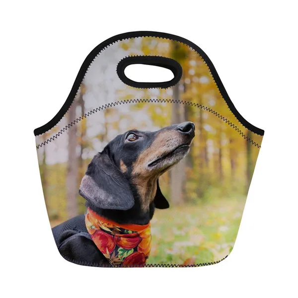 XM2096Z20 Twoheartsgirl милый Dachshunds напечатанный неопреновый мешок для завтрака для женщин дети Термоизолированный Ланч-бокс сумка-тоут Портативный Ланч-мешок - Цвет: XM2096Z20