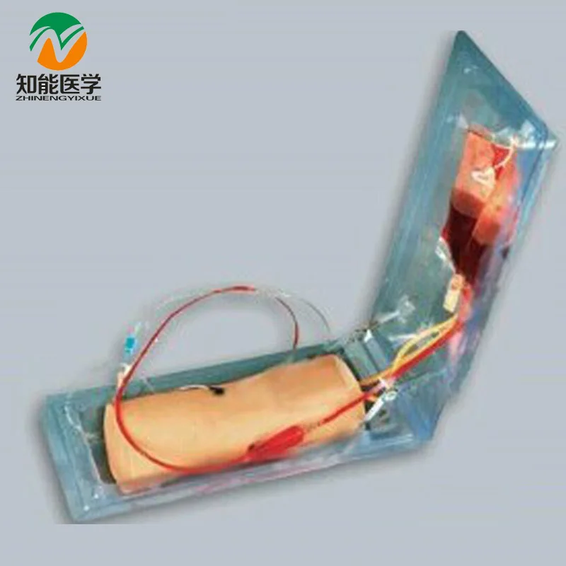 BIX HS10 усовершенствованная модель обучения колено Venipuncture MQ020|venipuncture|training |
