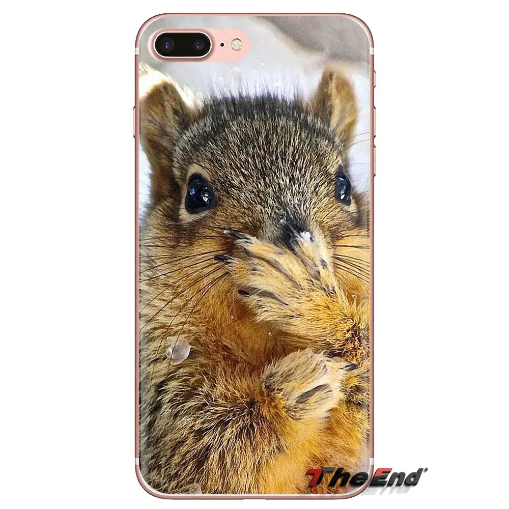 Прозрачные мягкие чехлы для Xiaomi Redmi 4A S2 Note 3 3S 4 4X 5 Plus 6 7 6A Pro Pocophone F1 Red Squirrel Sciurus vulgaris |