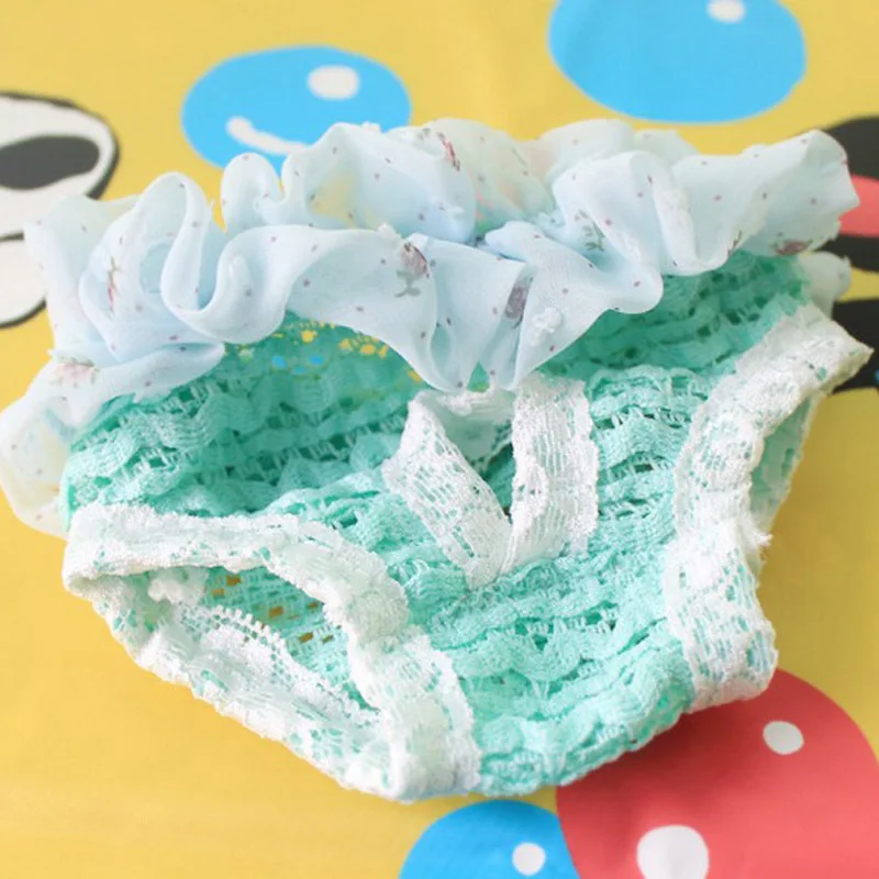 

10PCS/LOT Cute Female Pet Dog Underwear Diaper Sanitary Puppy dog Cats Chiffon Lace Floral Physiological Pants for Yorkshire