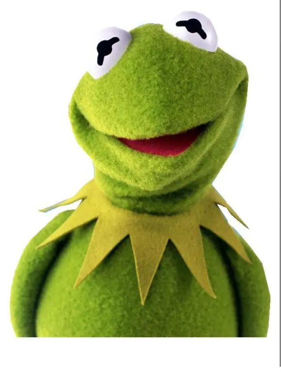 VIP ( Buy It Now Price ) Kermit frog Puppets hand puppet plush 10pcs | Игрушки и хобби